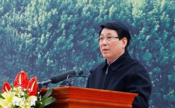 Chủ tịch nước Lương Cường phát động “Tết trồng cây Đời đời nhớ ơn Bác Hồ” Xuân Ất Tỵ