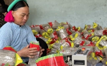 Đẩy mạnh khoa học công nghệ vùng dân tộc thiểu số