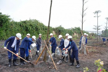 Đạm Ninh Bình phát động Tết trồng cây