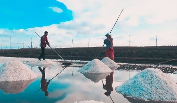 Bạc Liêu: Sắp diễn ra Festival nghề muối Việt Nam