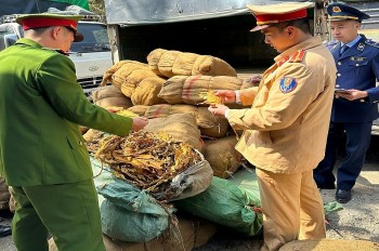 Cao Bằng: Phát hiện gần 3 tấn cây thuốc lá không rõ nguồn gốc