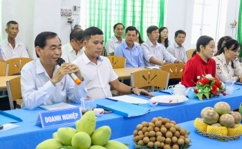 Phát triển cây ăn trái đặc sản phục vụ thị trường xuất khẩu