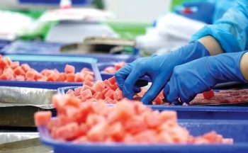 Giải pháp để xuất khẩu cá ngừ tăng trưởng hơn năm 2025