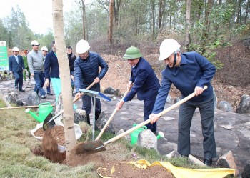 TKV quyết tâm xanh hóa môi trường khai thác mỏ