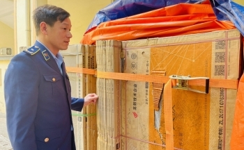 Vĩnh Phúc: Công ty Phúc Đạt CERAMIC kinh doanh hàng nhập lậu