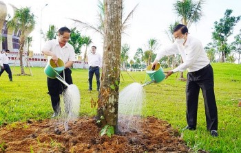 Cần Thơ: Phấn đấu trồng hơn 1,4 triệu cây xanh phân tán