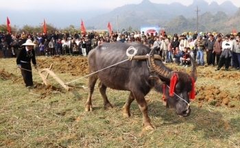 Lai Châu: Độc đáo Lễ hội Grâuk Taox Cha xã Sùng Phài