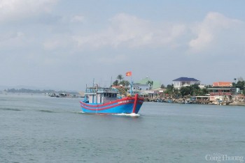 Quảng Ngãi: Nhộn nhịp những chuyến vươn khơi đầu năm