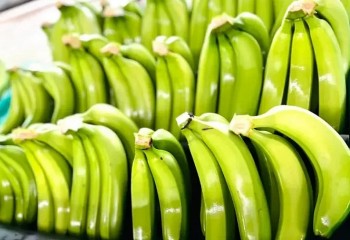 Xuất khẩu chuối của Việt Nam năm 2024 đạt 380 triệu USD