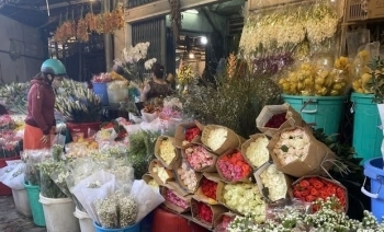 Thị trường hoa tươi 'nóng' trước ngày lễ tình nhân Valentine
