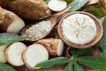 Việt Nam thu về hơn 99 triệu USD từ xuất khẩu sắn