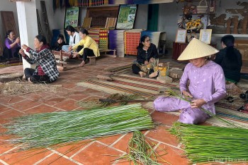Quảng Nam: Nét đẹp nghề truyền thống dệt chiếu cói Kim Bồng