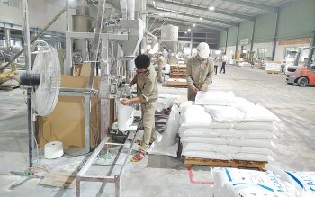 Yên Bái: Triển khai giải pháp để tăng trưởng kinh tế