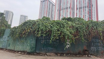 Hà Nội: Gần 20.000m² đất được giao cho VNPT giờ ra sao?