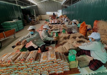 Miến dong Cao Bằng khẳng định thương hiệu