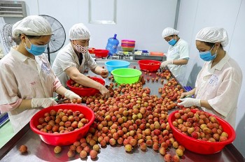 Khai thác tiềm năng, xúc tiến hàng hoá sang thị trường Canada