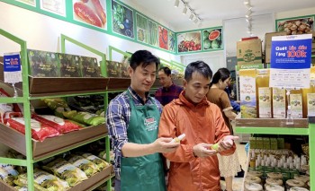 Yên Bái: Đẩy mạnh xây dựng thương hiệu, quảng bá sản phẩm