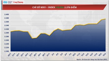 Thị trường hàng hóa ngày 20/2: Giá đậu tương suy yếu