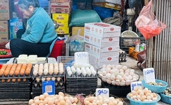 Giá trứng gia cầm 'rớt đáy' sau Tết Nguyên đán