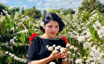 Dự báo giá cà phê ngày mai 21/2/2025 xu hướng tăng tiếp