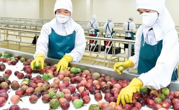 Đề nghị Quảng Tây (Trung Quốc) mở cửa thị trường cho nông sản chất lượng cao của Việt Nam