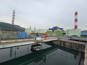 Đề xuất 47 loại hình dự án đầu tư được cấp tín dụng xanh