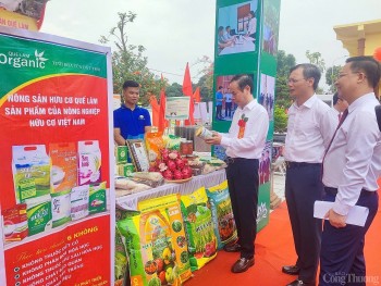 Nhiều doanh nghiệp tăng trưởng doanh thu nhờ thương mại điện tử