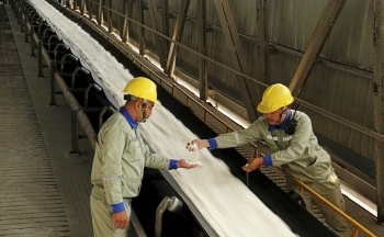 Nhóm 5 thị trường xuất khẩu lớn nhất của Lâm Đồng