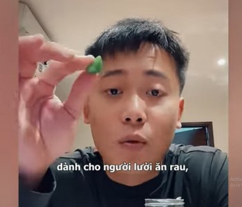 Quang Linh Vlogs 3 tháng xin lỗi 4 lần