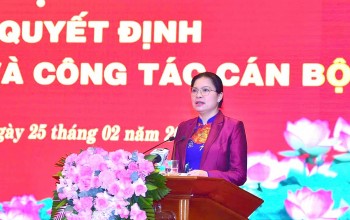 Hàng trăm cán bộ lãnh đạo công chức tỉnh Tuyên Quang xin nghỉ hưu trước tuổi