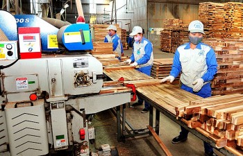 Doanh nghiệp thành lập mới và quay lại hoạt động tăng 19,3%