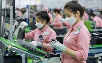 Những mặt hàng Việt Nam xuất khẩu sang New Zealand tháng 1/2025