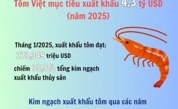 Tôm Việt mục tiêu xuất khẩu 4,3 tỷ USD trong năm 2025