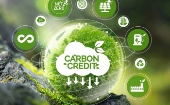 Thị trường carbon 2025: Doanh nghiệp cần làm gì?