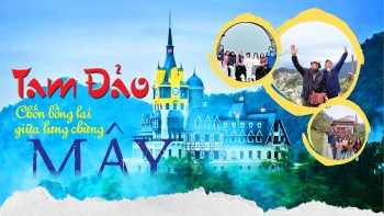 Tam Đảo - chốn bồng lai giữa lưng chừng mây
