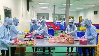 Tiếp tục đề xuất bãi bỏ thủ tục công bố hợp quy