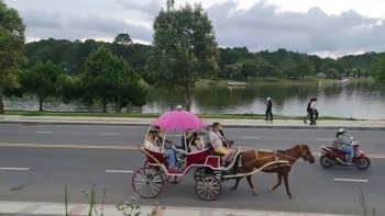 Chuyên gia nói gì khi Đà Lạt dừng hàng loạt dịch vụ trải nghiệm?