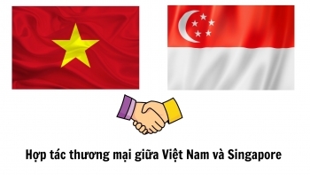 Infographic | Hợp tác thương mại giữa Việt Nam và Singapore