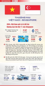 Thương mại Việt Nam - Singapore