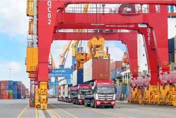 Phát triển trung tâm logistics tại Chu Lai, Quảng Nam