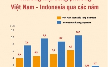 Infographic: Thương mại song phương Việt Nam - Indonesia qua các năm