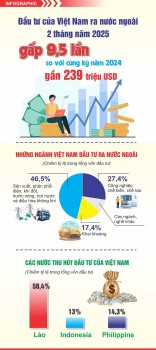 Đầu tư của Việt Nam ra nước ngoài 2 tháng năm 2025