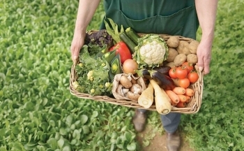 Bắc Âu: Thị trường 'vàng' cho nông sản hữu cơ Việt Nam