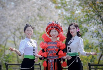 Xây dựng Điện Biên thành 'thủ phủ hoa ban' của cả nước