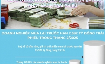 Infographic | Tháng 2/2025, không có doanh nghiệp nào phát hành trái phiếu