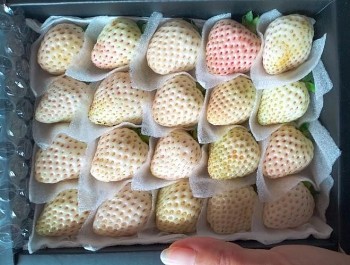 Dâu Bạch Tuyết tràn ngập 'chợ mạng', giá rẻ bất ngờ