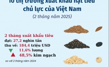10 thị trường xuất khẩu hạt tiêu chủ lực của Việt Nam
