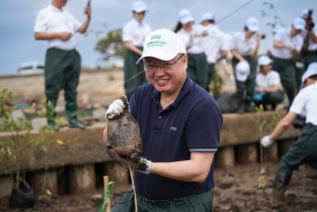 Kỷ lục 1 triệu cây xanh được trồng trong thời gian ngắn