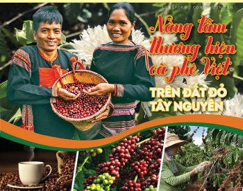 Nâng tầm thương hiệu cà phê Việt trên đất đỏ Tây Nguyên