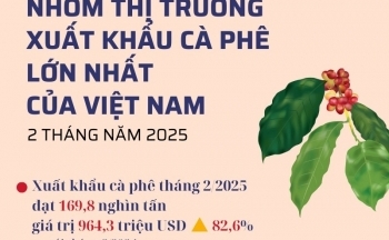 Infographic | Nhóm thị trường xuất khẩu cà phê lớn nhất